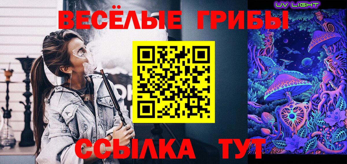 Псилоцибиновые грибы Psilocybine cubensis  Вход с VPN  Рубцовск 