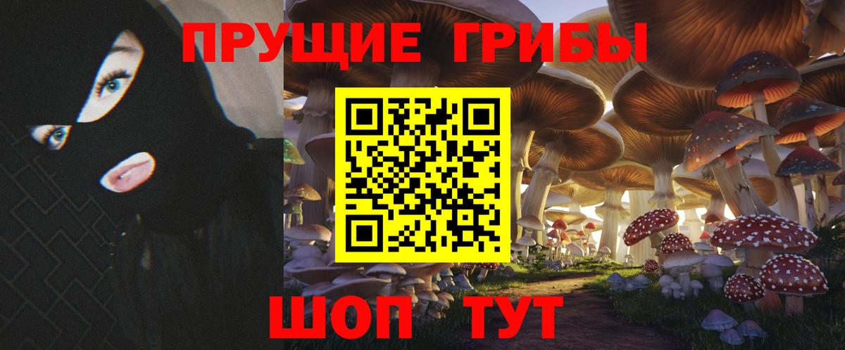 Псилоцибиновые грибы мицелий Рубцовск